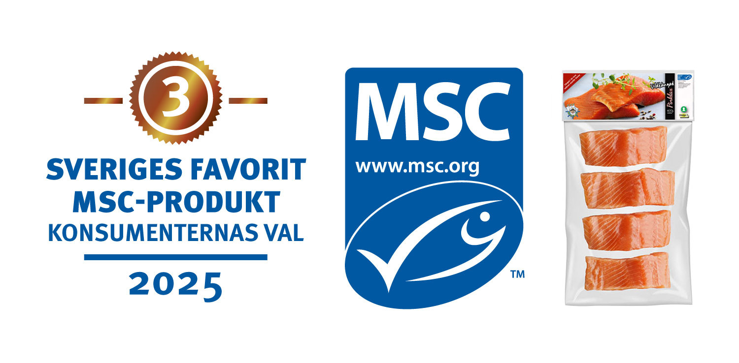 MSC 2025
