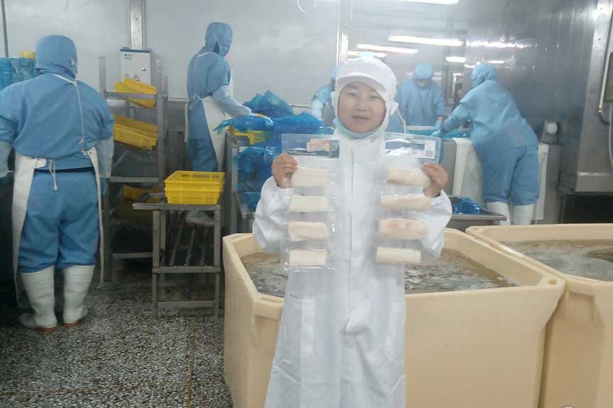 Produktion av torsk