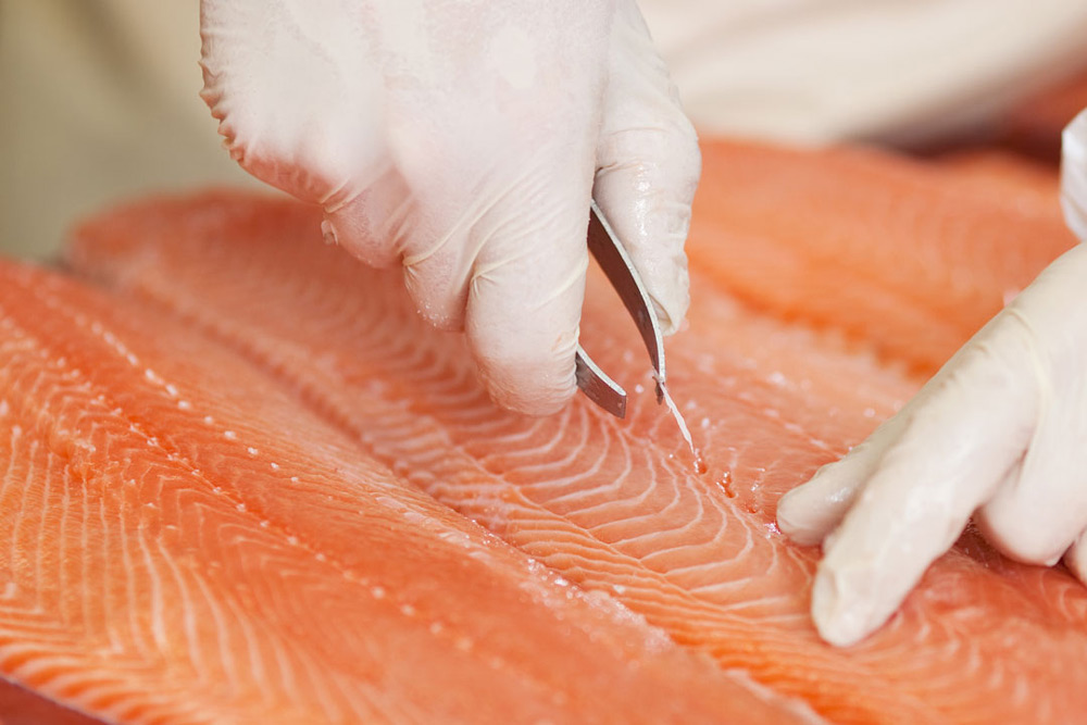 Produktion av laxfile