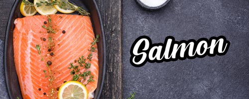 Salmon