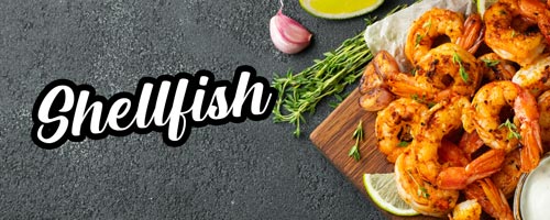 Shellfish